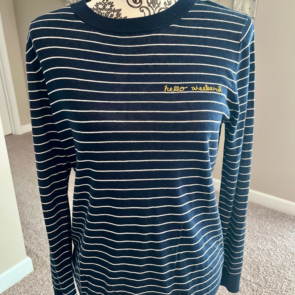 Banana Republic Navy and White Striped Sweater